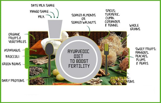 Ayurvedic Diet for Infertility