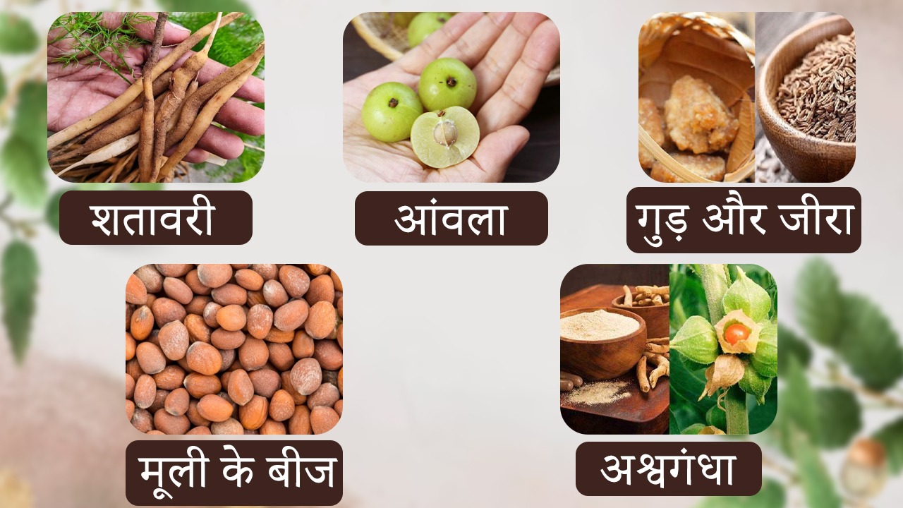 ayurvedic home remedies for getting pregnant