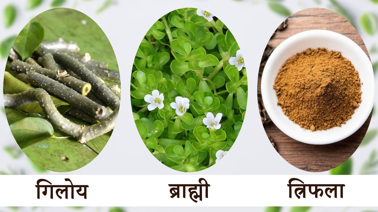 ayurvedic remedies for getting pregnant
