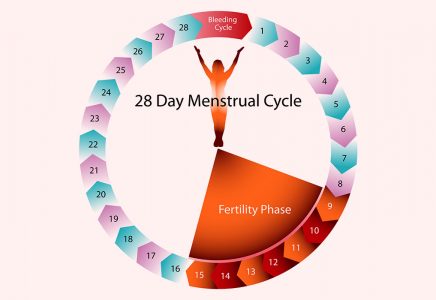 sex during periods can cause pregnancy