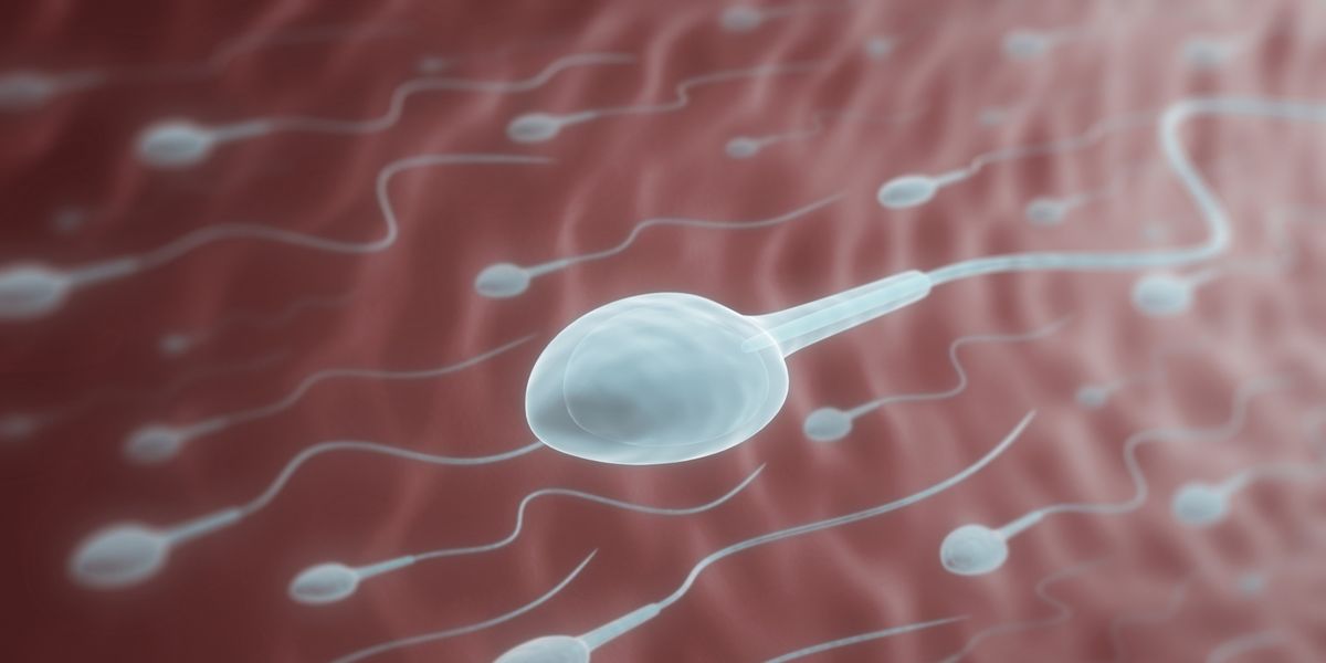 ways to increase sperm count