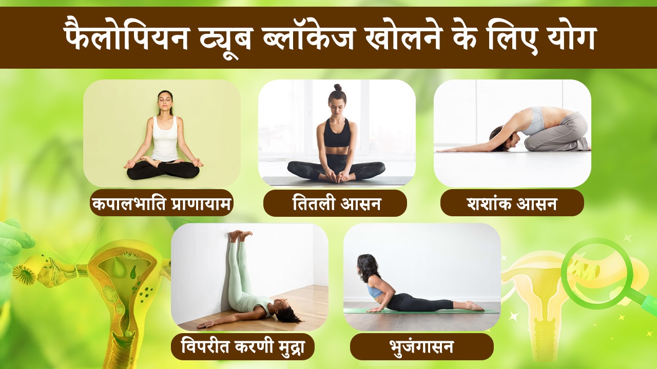 How to Open Blocked Fallopian Tubes by 6 Best Yoga