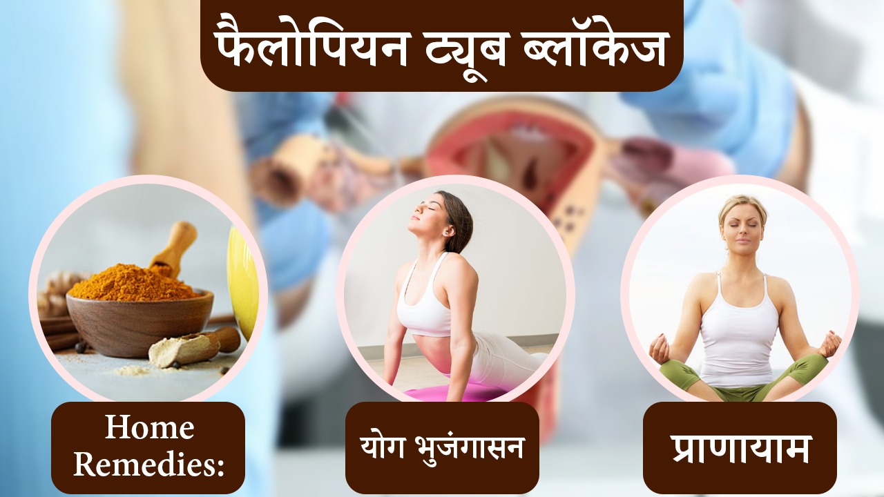 How to open Blocked Fallopian Tube - Aasha Ayurveda Dr Chanchal Sharma