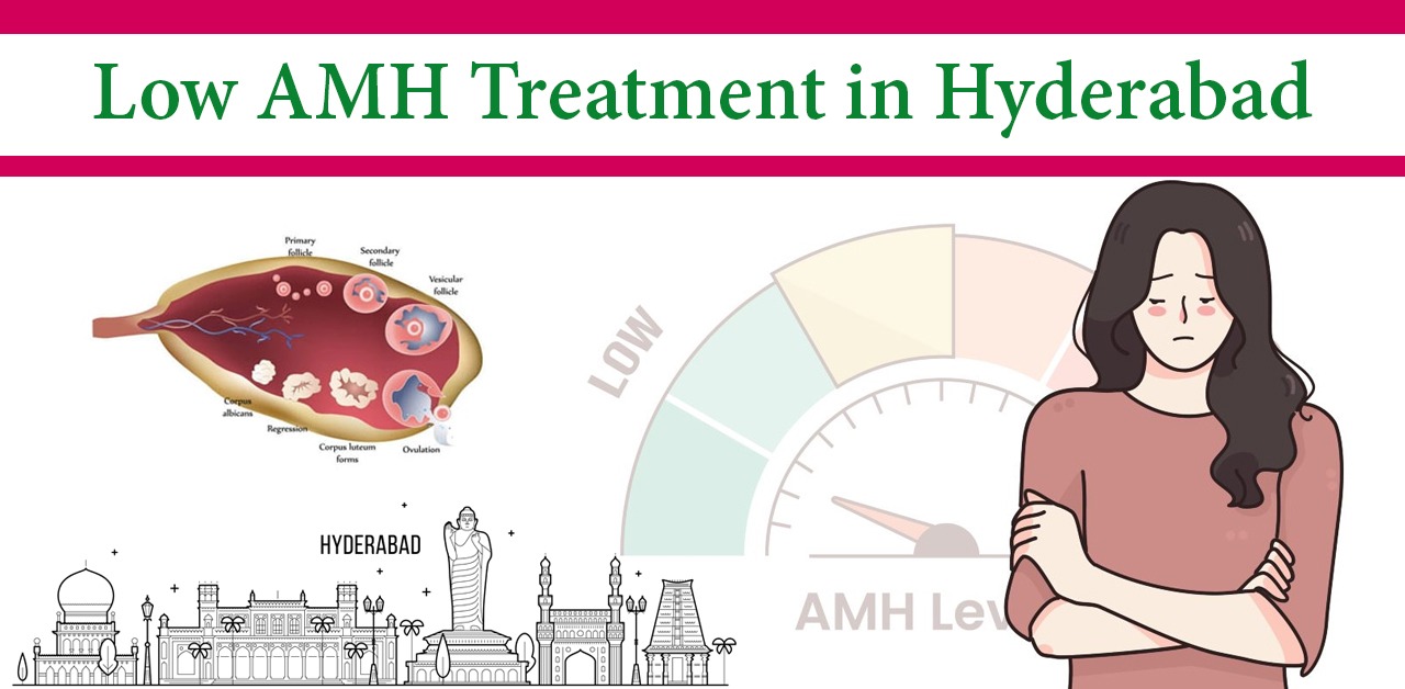 Low AMH Treatment in Hyderabad | Ayurvedic Approach for Pregnancy