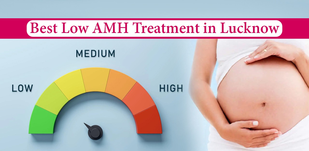 Best Low AMH Treatment in Lucknow | Ayurveda for Fertility