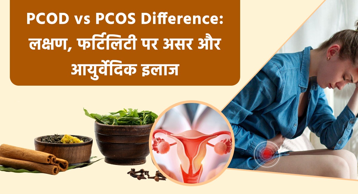 PCOD vs PCOS Difference: लक्षण, फर्टिलिटी पर असर और आयुर्वेदिक इलाज