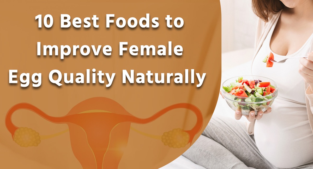 10 Best Foods to Improve Female Egg Quality Naturally