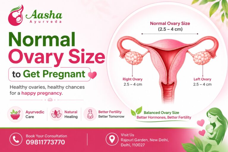 Normal Ovary Size to Get Pregnant