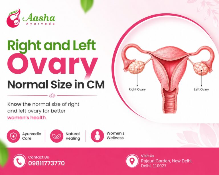Right and Left Ovary Normal Size in CM